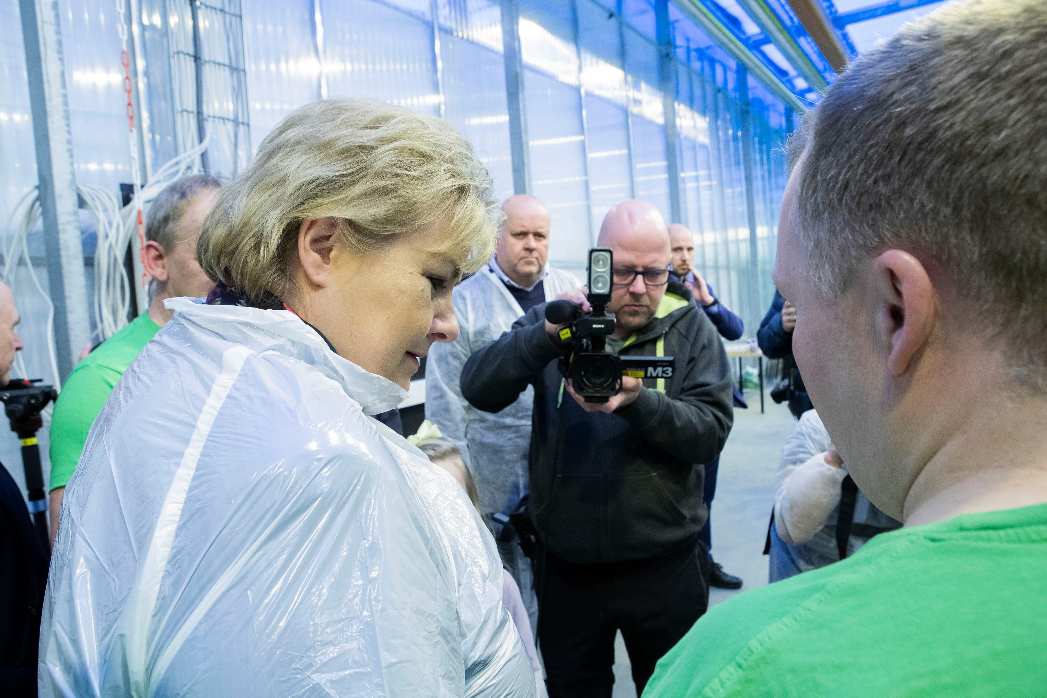 Statsminister Erna Solberg besøker agurkprodusenten Frostagrønt